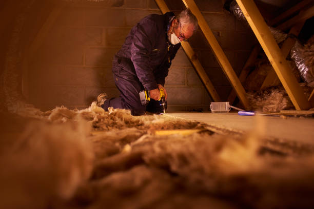 Best Spray Foam Insulation  in Calumet Park, IL